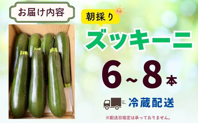 朝採り!! 新鮮ズッキーニ 約6～8本 《生産者直送》岸田農園 (Cd-001)