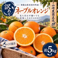 訳あり ネーブルオレンジ 約5kg サイズおまかせ アルギット 栽培 国産 甘い おいしい ジューシー 皮 薄い 完熟 期間限定 フルーツ 果物 人気 おすすめ 高級 こだわり ギフト 旬 山崎農園 和歌山 DT26