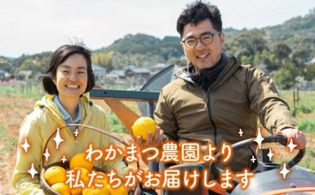 【 植物 由来 】万能 濃縮 甘夏 みかん 洗剤 《糸島》【わかまつ農園】[AHB001]