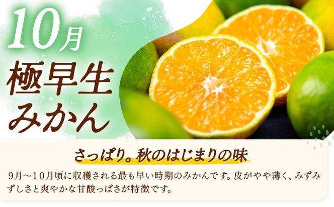 みかん 定期便 秀品 温州みかん 3ヶ月 選べる 内容量 計9kg 計15kg 計30kg 日本フルーツ株式会社《10月上旬-12月末頃出荷》熊本県 長洲町 ミカン 蜜柑 柑橘類 極早生 早生 中生 果物 フルーツ---sn_nfumtei_23000_mini_oct3---