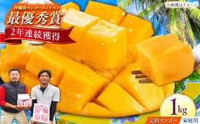 【家庭用】仲村農園の完熟アップルマンゴー 1kg マンゴー 沖縄 果物 フルーツ ギフト 沖縄市 / 仲村農園[BCCU004]