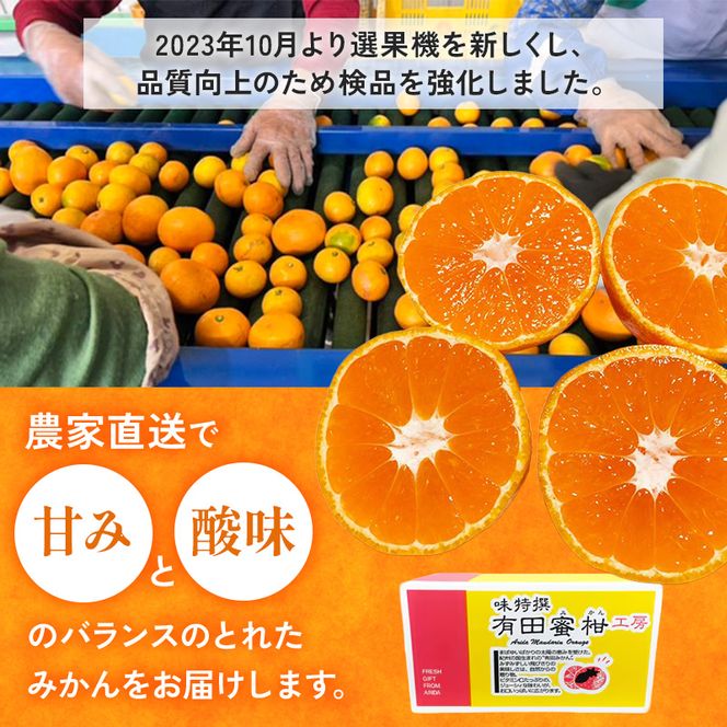【先行予約】【ご家庭用】和歌山有田みかん約5kg(M、Lサイズ)【美浜町】