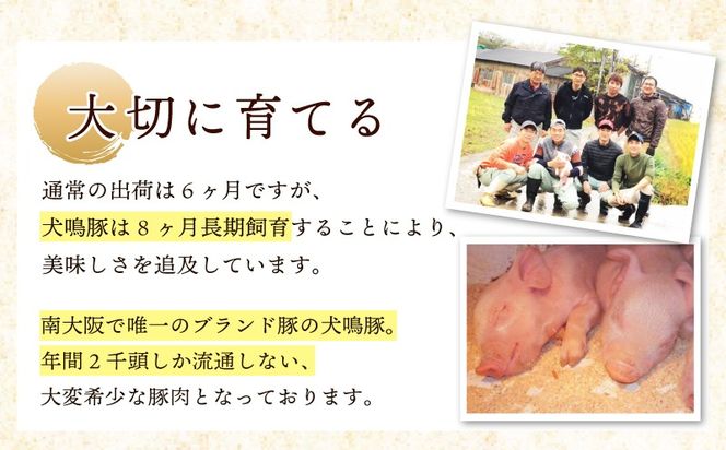 099Z558 【泉佐野ブランド豚】犬鳴豚餃子 75個／手作りプレミアムハンバーグ（10個入り） 全2回【国産 豚肉 ぶたにく 定期便 食べ比べ 犬鳴ポーク 焼くだけ 人気 総菜 冷凍】