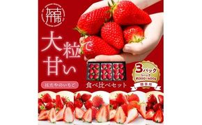 贈答用いちご 3品種食べ比べセット(3パック入)《 いちご 苺 イチゴ フルーツ 果物 国産 フルーツ工房はたや あまえくぼ 章姫 あまクイーン ロイヤルクイーン ぽりっちご あまおとめ 堅しろう 》【2502C09701】