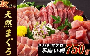 【訳あり】天然メバチマグロ ７５０ｇ (不揃い柵)　サク 柵 メバチ 目鉢 マグロ 鮪 まぐろ 100% 冷凍 刺身 海鮮 丼 刺し身 小分け 高知 室戸 10000円 10,000 tk080