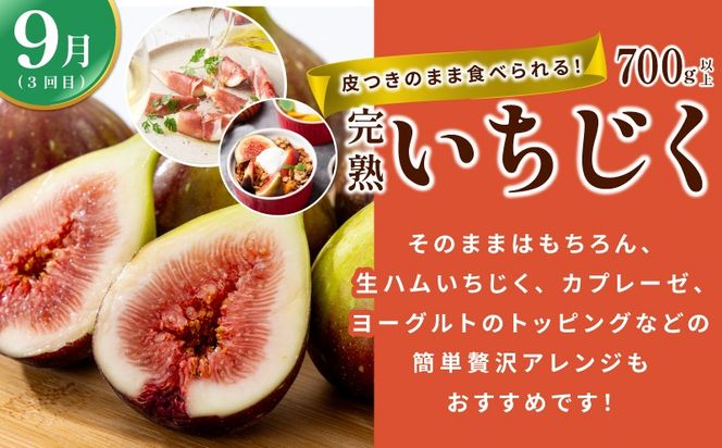 099Z563 【定期便】泉州TONOファームが贈る定期便 野菜とフルーツの旬の味リレー【7月～10月発送 水ナス トウモロコシ 枝豆 いちじく 茄子 とうもろこし 豆 イチジク なす 新鮮 泉州 やさい フルーツ】
