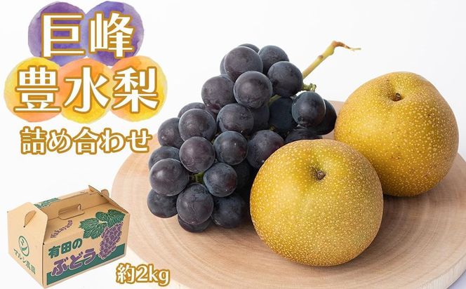 巨峰、豊水梨　詰め合わせ　約2kg箱 CC51