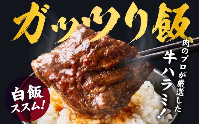 G4017 ガツめし牛ハラミ 600g 追いダレ漬け【焼肉 はらみ ハラミ 牛肉 訳あり サイズ不揃い】