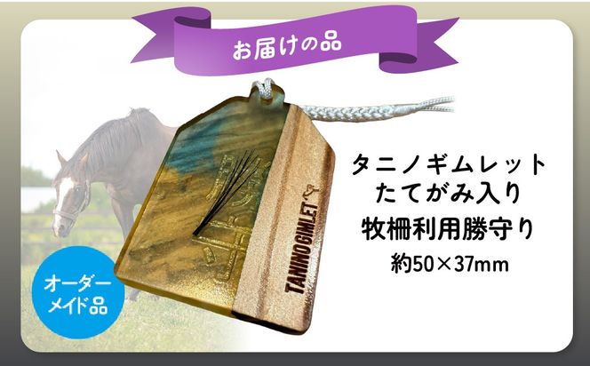 【御守り】破壊神タニノギムレットたてがみ入り牧柵利用勝守り BRTV100