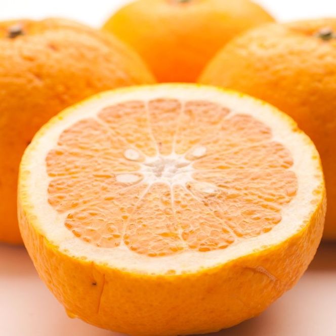 ＜4月より発送＞厳選 甘夏柑2.5kg+250g（傷み補償分）◇【初夏のみかん・旬の果物】【有田産】【光センサー食べ頃出荷】 ※北海道・沖縄・離島への配送不可　※2026年4月上旬～5月下旬頃に順次発送予定