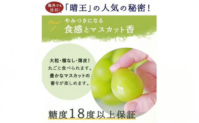 ぶどう 2026年 先行予約 シャイン マスカット 晴王 3～5房 2kg前後 （8月上旬～9月下旬発送分） ブドウ 葡萄 岡山県産 国産 フルーツ 果物 ギフト 果物類 [№5735-1231]