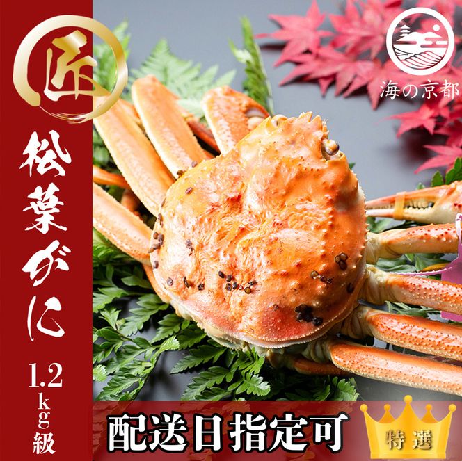 【配送日指定可】茹で松葉蟹 特上 1杯 1,200g級 蟹 カニ かに 松葉蟹 松葉ガニ ズワイガニ ボイル myz05 myz11 myz16
