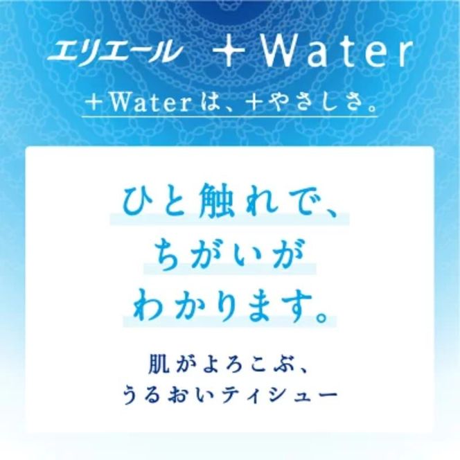 エリエール ＋Water ポケットティシュー 14P×1パック 最短 10日以内配送 最短配送 ティッシュ まとめ買い ペーパー 紙 防災 常備品 備蓄品 消耗品 備蓄 日用品 生活必需品 送料無料 北海道 赤平市