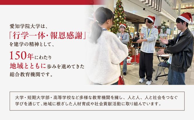 【返礼品なし】大学等連携事業補助制度 (愛知学院大学) 5,000円 大学 教育 教育支援 愛知県 日進市