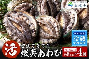 《12/21まで年内発送》【冷蔵 活あわび 養殖  8cm×4枚 280～320g (1個70～80g）】満点青空レストラン うまい！おせち2023に採用されました！アワビ 鮑 活アワビ あわび 海鮮貝 魚介 お刺身 BBQ バター焼き 新鮮 日本海 養殖 昆布 レシピ入り 人気 テレビ 紹介 話題 高級 香美町 香住 山陰 美嶋丸 18000円 20-01