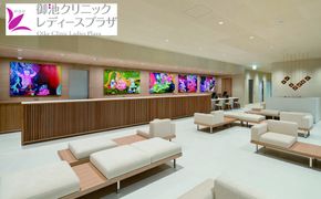 【御池クリニック レディースプラザ】宿泊ドック受診チケット｜京都 人間ドック 受診 検査［ 宿泊人間ドック 一泊夕食付 人気 おすすめ 検査 診察 お取り寄せ 通販 送料無料 ふるさと納税 ］ 261009_A-UP002