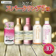 スパークリング 缶ワイン 5種 セット 各290ml×2本 計10本 飲み比べ モンデ酒造 ロゼ デラウェア ピーチ 酒 お酒 贈答 ギフト 晩酌 宅飲み 家飲み キャンプ BBQ バーベキュー パーティー アウトドア 送料無料 山梨県 笛吹市  177-4-173