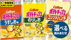 選べる組み合わせ！カルビー ポテトチップス レギュラー サイズ 2種類 詰め合わせ 16袋 ポテチ お菓子 おかし 大量 スナック おつまみ ジャガイモ じゃがいも まとめ買い