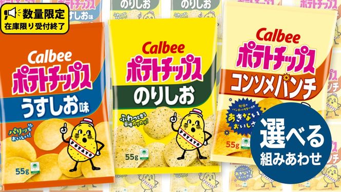 選べる組み合わせ！カルビー ポテトチップス レギュラー サイズ 2種類 詰め合わせ 16袋 ポテチ お菓子 おかし 大量 スナック おつまみ ジャガイモ じゃがいも まとめ買い