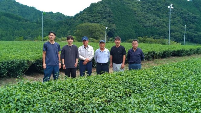 【2-183】産地直送　関西品評会　農林水産大臣賞　記念銘茶　3本入