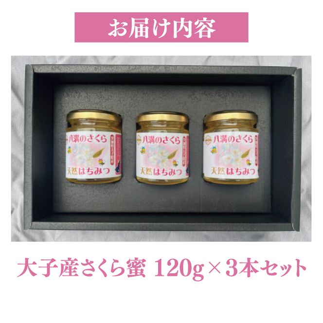 【2026年10月～2027年4月発送】天然はちみつ【大子のさくら蜜 120g×3本セット】|茨城県 大子町 奥久慈 ハチミツ 蜂蜜 プレゼント 包装(BG004)