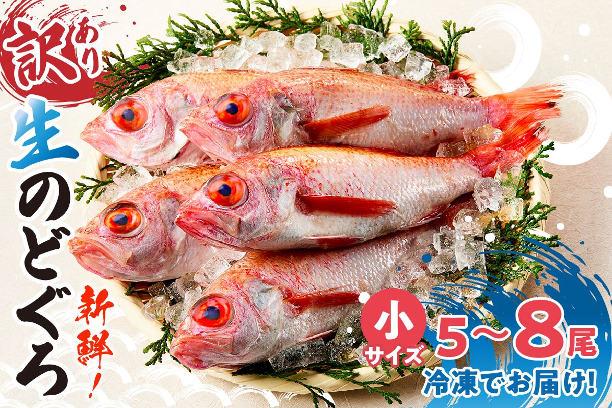 [訳あり のどぐろ 香住産 生冷凍 調理済 少し小さめ(1匹80〜100g前後)内容量:5匹〜8匹 約600g〜700g 冷凍 兵庫県香住産]ご入金確認後、順次発送予定 サイズ不揃い 少し小さめ 日本海で水揚げ 鮮度抜群、脂乗りの良いノドグロを急速冷凍 細胞を壊さず、食品の美味しさをキープ 白身のトロ 産地直送 兵庫県 香美町 香住 柴山 山陰 大人気 ふるさと納税 送料無料 宿院商店 33-14