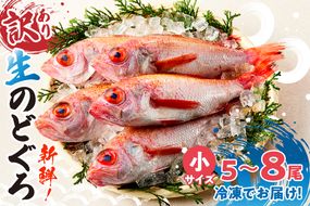 【訳あり のどぐろ 香住産 生冷凍 調理済 少し小さめ（1匹80～100g前後）内容量：5匹～8匹 約600g～700g 冷凍 兵庫県香住産】ご入金確認後、順次発送予定 サイズ不揃い 少し小さめ 日本海で水揚げ 鮮度抜群、脂乗りの良いノドグロを急速冷凍 細胞を壊さず、食品の美味しさをキープ 白身のトロ 産地直送 兵庫県 香美町 香住 柴山 山陰 大人気 ふるさと納税 送料無料 宿院商店 33-14