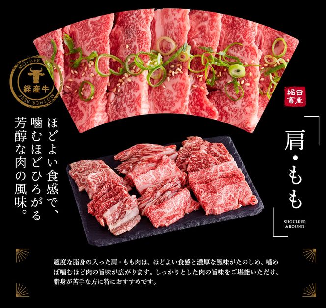 【累計2万パック突破！】但馬牛経産牛　焼肉用（肩・モモ）500ｇ 010AA05N.／焼肉セット 黒毛和牛 いちかわ精肉店 経産牛 牛肉 国産 bbq バーベキュー 焼き肉セット アウトドア キャンプ 冷凍 焼き肉用