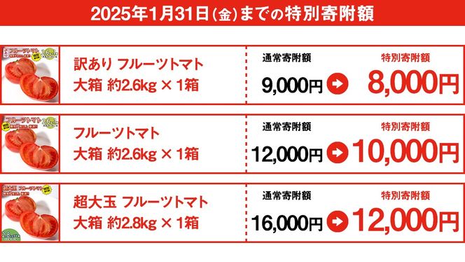 【 早期申込み限定 特別寄附額 】 フルーツトマト 大箱 約2.6kg × 1箱 【大玉 20〜35玉/1箱】 糖度7度 以上 野菜 フルーツ トマト とまと [AF072ci]