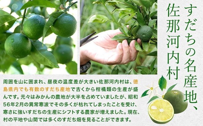 すだち揚げおかき 3袋(1袋60g) 徳島市農業協同組合営農経済部《30日以内に出荷予定(土日祝除く)》徳島県 佐那河内村 徳島県産 すだち お菓子 おやつ おつまみ 贈答 贈り物 送料無料---tsm_izs41_30d_25_8000_3hk---