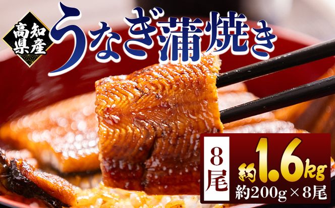 高知県産蒲焼きうなぎ ２００ｇ ８尾 計１６００ｇ fb-0164