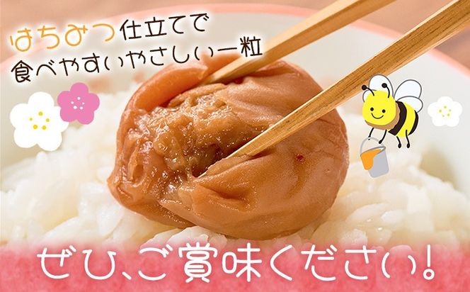 紀州南高梅 つぶれ梅 はちみつ漬 塩分8％ 1パック400g 選べる内容量 3パック 4パック 株式会社味季屋《30日以内に出荷予定(土日祝除く)》和歌山県 日高町 梅 梅干し 南高梅 はちみつ梅---wsh_ajk6_30d_25_12000_3p---