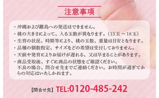 透過式光センサーまどか桃 特秀5kg相当 15玉～18玉＜ ふくしま未来農業協同組合 ＞ | ふくしま 桃 福島 もも 国見 モモ ※2026年8月上旬～8月中旬頃に順次発送予定 ※沖縄・離島への配送不可