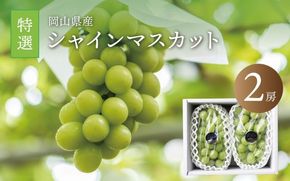 真庭市産 シャインマスカット 特選大房２房 / (2026年9月中旬以降発送予定) ぶどう 岡山 真庭 大粒 葡萄 シャインマスカット 果物 フルーツ ブドウ 人気 数量限定 皮ごと マスカット 産地直送 新鮮 数量限定 岡山名産 定番 ギフト 贈答用 【配送不可地域：北海道／沖縄県／離島】 shine02 【jujy006-02】