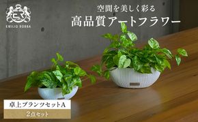 エミリオロバ　卓上プランツＡセット