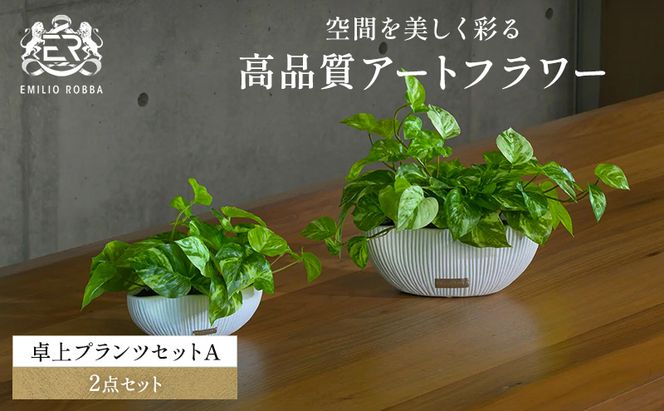 エミリオロバ　卓上プランツＡセット