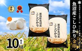 【令和7年産】魚沼産コシヒカリ金印(精米)10kg 米 お米 こしひかり 精米 中魚沼 新潟県 十日町市