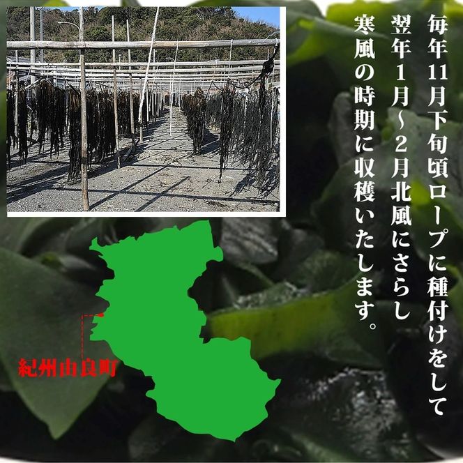 BB6228_紀州衣奈産 乾燥 わかめ 150g × 4 パック （2026年産）