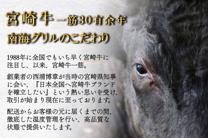 宮崎牛 A4 赤身 150g×2 サーロイン 250g×2 合計800g ステーキソース付き ギフト箱入り [南海グリル 宮崎県 美郷町 31bg0015] ブランド牛 冷凍 国産 牛 肉 南海グリル 贈り物 3D急速高湿冷凍 旨味 モモ BBQ バーベキュー キャンプ