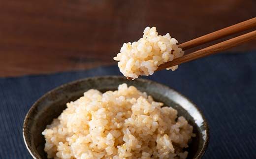 FYN6-281 令和7年度 山形県産 はえぬき 玄米 5kg お米 米 ごはん ご飯 げんまい 銘柄米 ブランド米 2025年 自宅 家庭 贈り物 プレゼント 贈答 ギフト 食品 山形県 西川町 月山