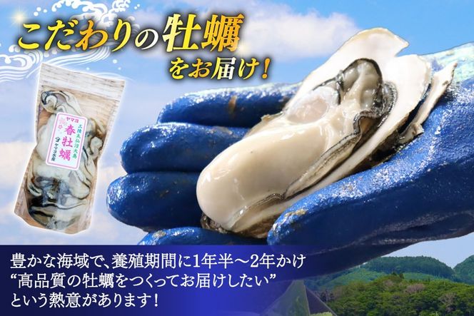 【期間限定発送】 ヤマヨ水産の牡蠣 加熱用 500g 《5月前半〜出荷》 [気仙沼市物産振興協会 宮城県 気仙沼市 20565983] 魚介類 海鮮 牡蠣 春 かき 春牡蠣 春かき 期間限定 冷蔵 加熱