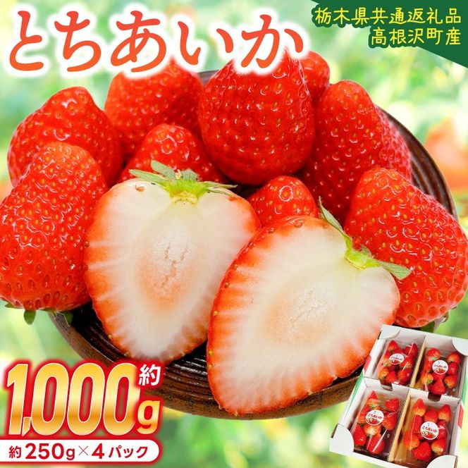 【先行予約】栃木県産 とちあいか 合計1,000g (250g以上×4パック) 農家直送 家庭用 和饗エコファーム【栃木県共通返礼品/高根沢町産】｜栃木県 ふるさと納税 いちご イチゴ 苺 旬 果物 フルーツ とちあいか(DW001)