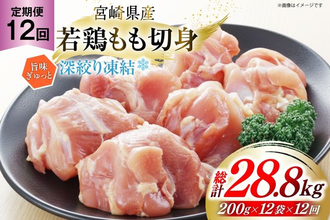 y{茧z{  {茧Y { ؐg [i蓀 200g 12p 12  v28.8kg [Bt[Y{xX {茧  31bf0006]  ^pbN { 