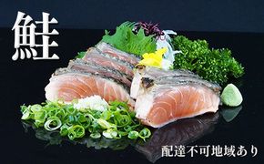 【 すえひら 】 鮭 ( さけ ) の たたき 5人前 セット 魚貝類 サーモン 鮭のたたき サケ さけのたたき