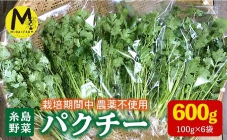 糸島産 パクチー 600g ( 100g × 6袋 )   糸島市 / MURA FARM [AFD001]