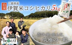 三重県産　伊賀米コシヒカリ　5kg　白米 【ymtb0005】