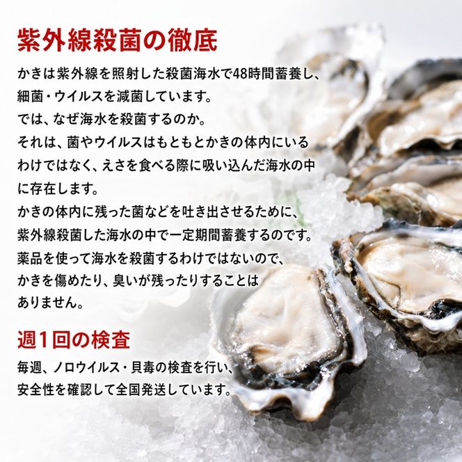 【厚岸漁協直売店特製】 かきガンガン焼 Ｍセット20個  北海道 牡蠣 カキ かき  生牡蠣 殻付  魚介類 マルえもん
