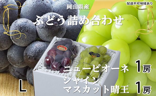 ぶどう 2026年 先行予約 ニュー ピオーネ 1房 約400g シャイン マスカット 晴王 1房 約400g 詰め合わせ 岡山県産 国産 フルーツ 果物 ギフト 