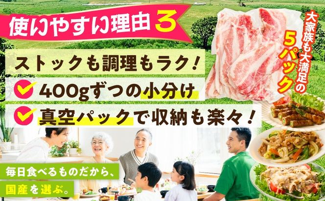 CFX0107 【数量限定】国産 豚バラ 切り落とし 2kg【味付け 豚肉 400g×5P 小分け 訳あり 部位不揃い】
