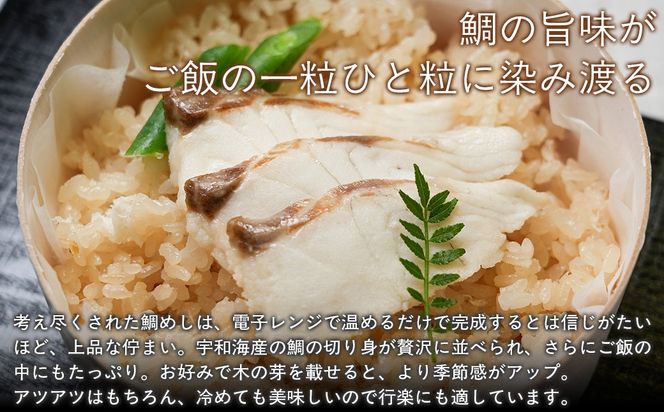 鯛めしセット（4個入り）  【 鯛 海鮮 魚介 魚 冷凍 宇和海産 愛媛】 IKTN003 